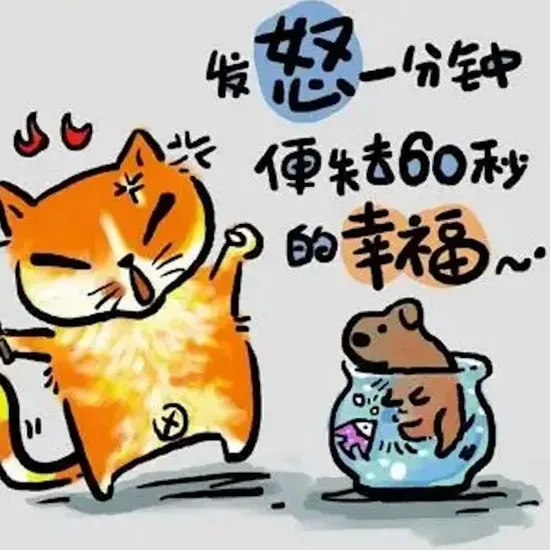 外贸网站推广方案